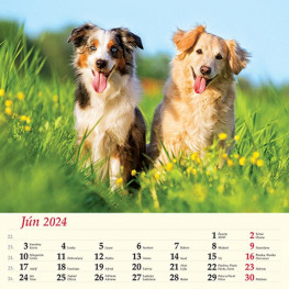 Kalendár nástenný PSY 2024